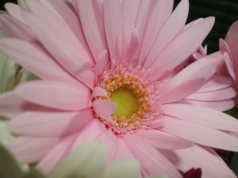 a0800_000108.jpg