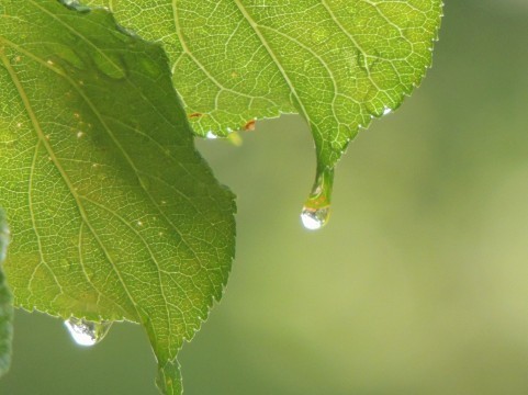a0960_006018.jpg