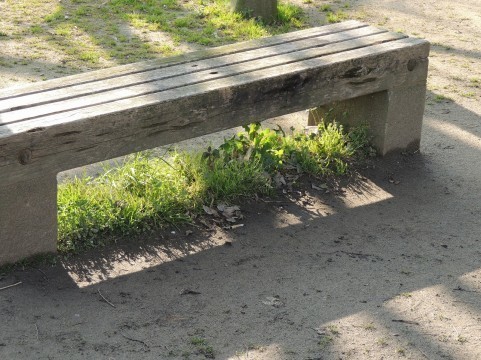 a0960_00635.jpg