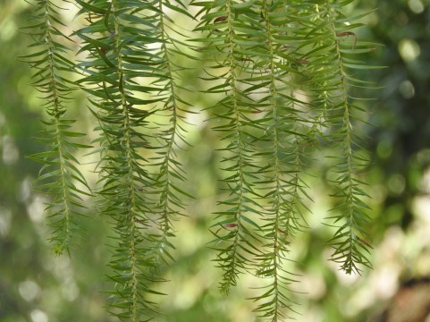 a0960_008048.jpg