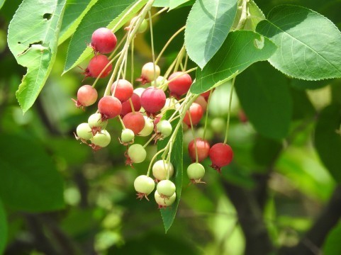 a0960_008250.jpg