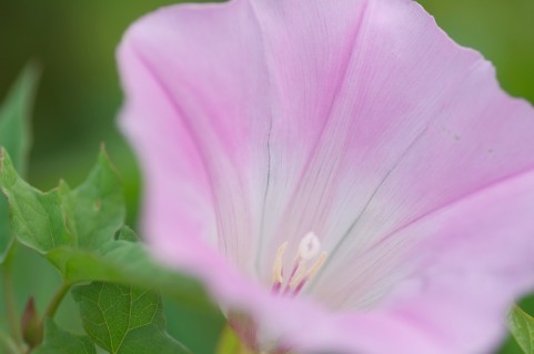 a1380_000220q.jpg