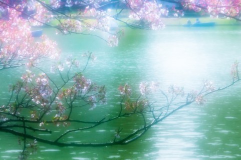 a1380_0016.jpg