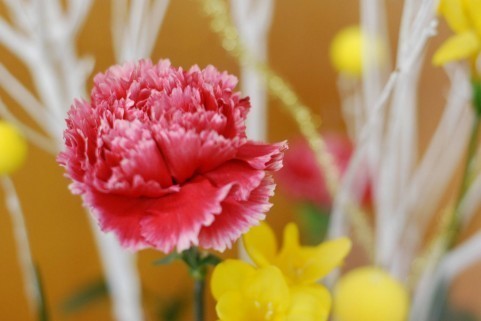 a1710_000010.jpg